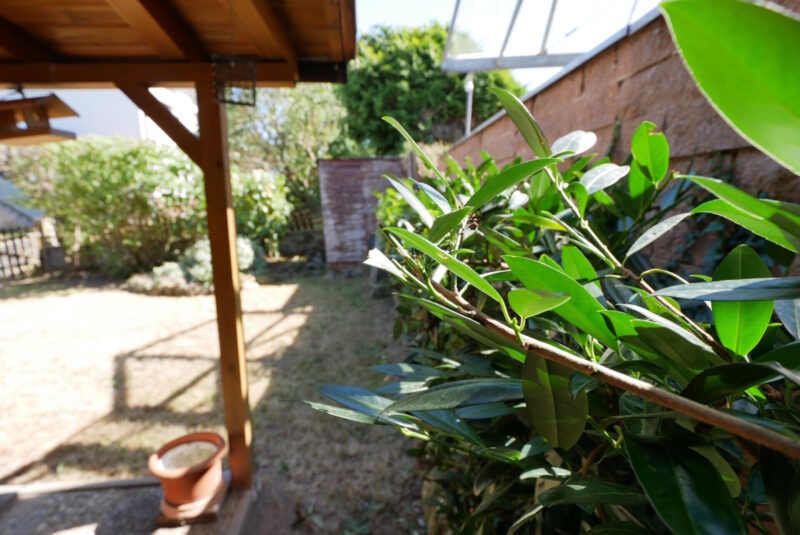 Interessantes Haus mit kleinem Garten!, Bild 4