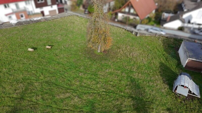 Herrlich gelegenes Baugrundstück bei Untersiemau, Bild 3
