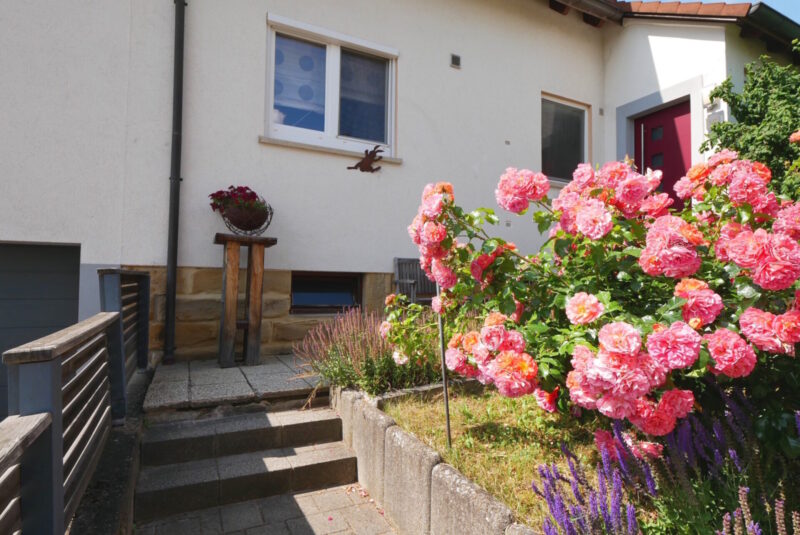Attraktives Haus in guter Lage!, Bild 2