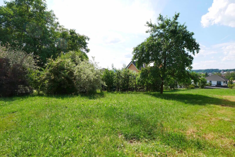 Attraktives Haus in guter Lage!, Bild 7